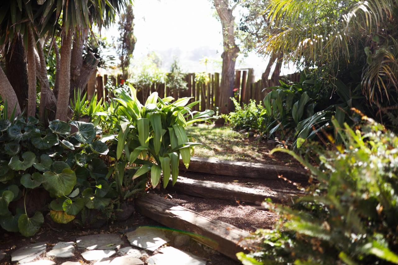 Casa Begonia Hostal Tacoronte Exterior foto